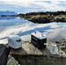 Aeon Guardians G1200 power station and electronic devices on a rock by a scenic lakeside.