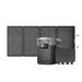 DELTA 2 Max (1900) +800W Alternator Charger bi-facial 220W SP