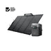 DELTA 2 (950) Portable Power Station for Bi-facial 220W SP and 160W SP