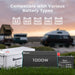 Renogy 1000W 12V to 230V/240V Pure Sine Wave Inverter (with UPS Function)-battery types compatibility