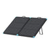 Renogy 100W Portable Solar Panel on a white bg