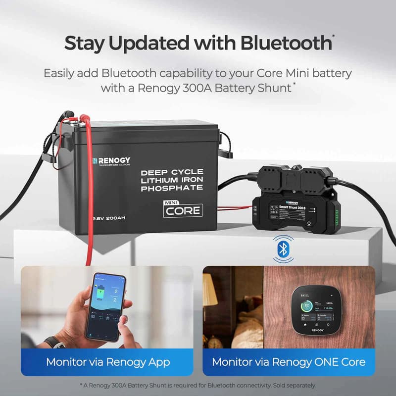 Renogy 12V 100Ah Trolling Motor Group 24 LiFePO4 Battery w/ Bluetooth-with smart shunt