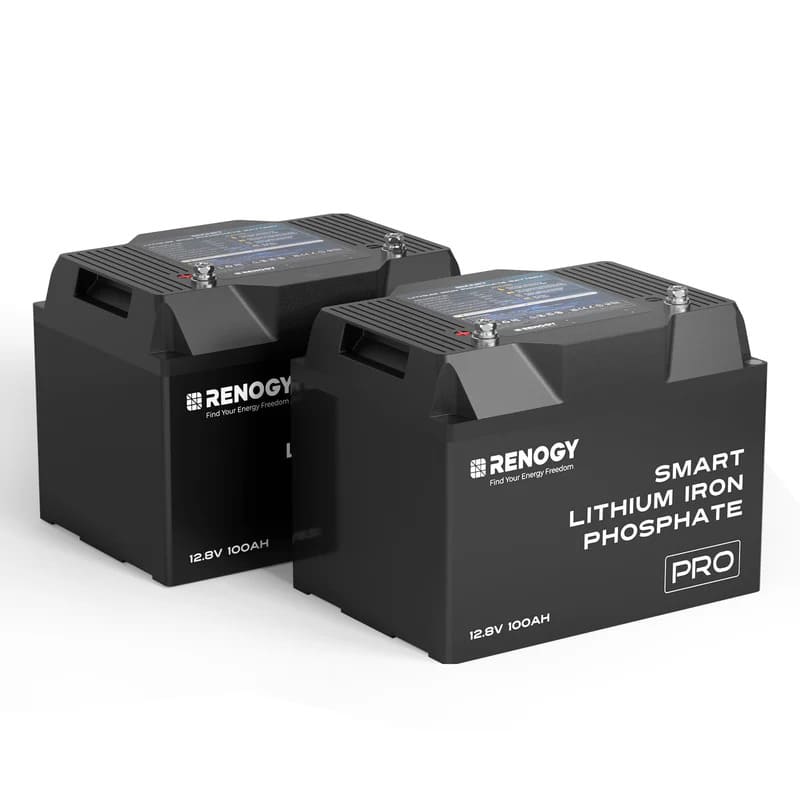 Renogy 12V 200Ah Pro Deep Cycle Lithium Iron Phosphate Battery w/ Bluetooth & Self-Heating, 2pcs of 100A batteries