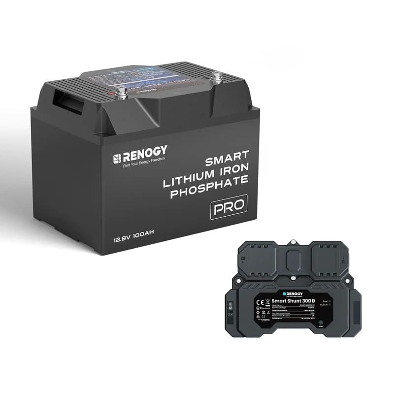 Renogy 12V 200Ah Pro Deep Cycle Lithium Iron Phosphate Battery w/ Bluetooth & Self-Heating, 100A battery with Smart shunt 