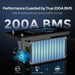 Renogy 12V 300Ah Core Series Deep Cycle Lithium Iron Phosphate Battery w/ Self-Heating-200A BMS display