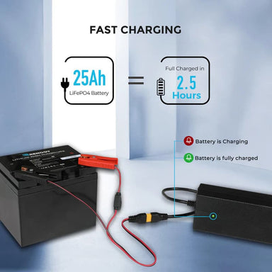 Renogy 24V 10A AC to DC Lithium Iron Phosphate Battery Charger -fast charging