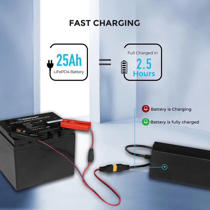 Renogy 24V 10A AC to DC Lithium Iron Phosphate Battery Charger -fast charging