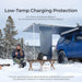 Renogy Rover Li 60A 12/24/36/48V MPPT Solar Charge Controller - low Temp charging protection