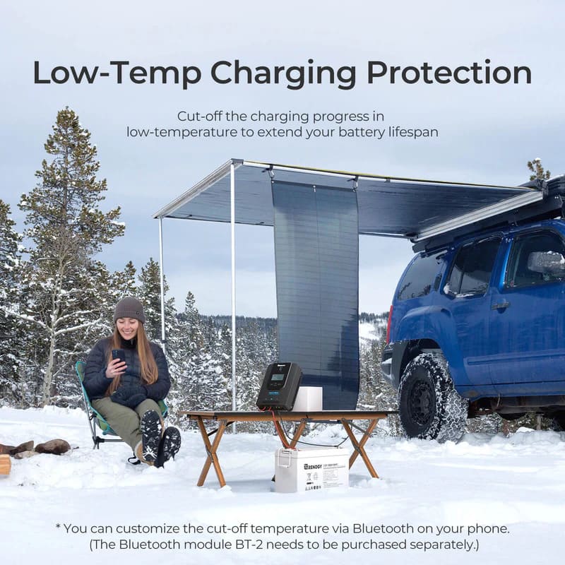 Renogy Rover Li 60A 12/24/36/48V MPPT Solar Charge Controller - low Temp charging protection