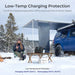 Renogy Rover Lite 12V/ 24V/ 36V/ 48V 60A MPPT Solar Charge Controller - low temp charge protection